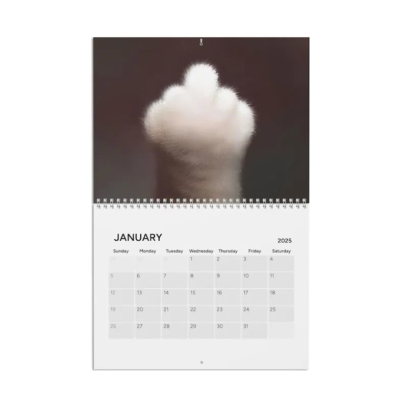 🐾Cat Lover Calendar