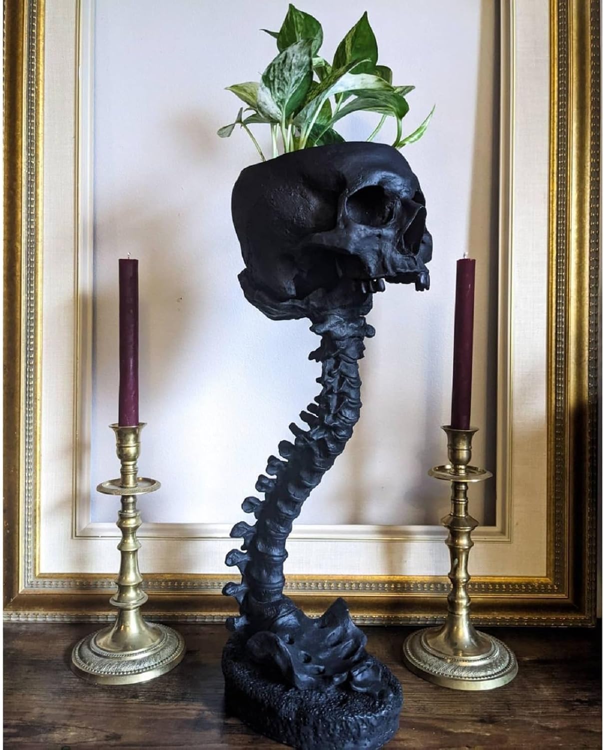 🔥BUY 2 FREE SHIPPING✨💀Skull Planter with Spine Stand