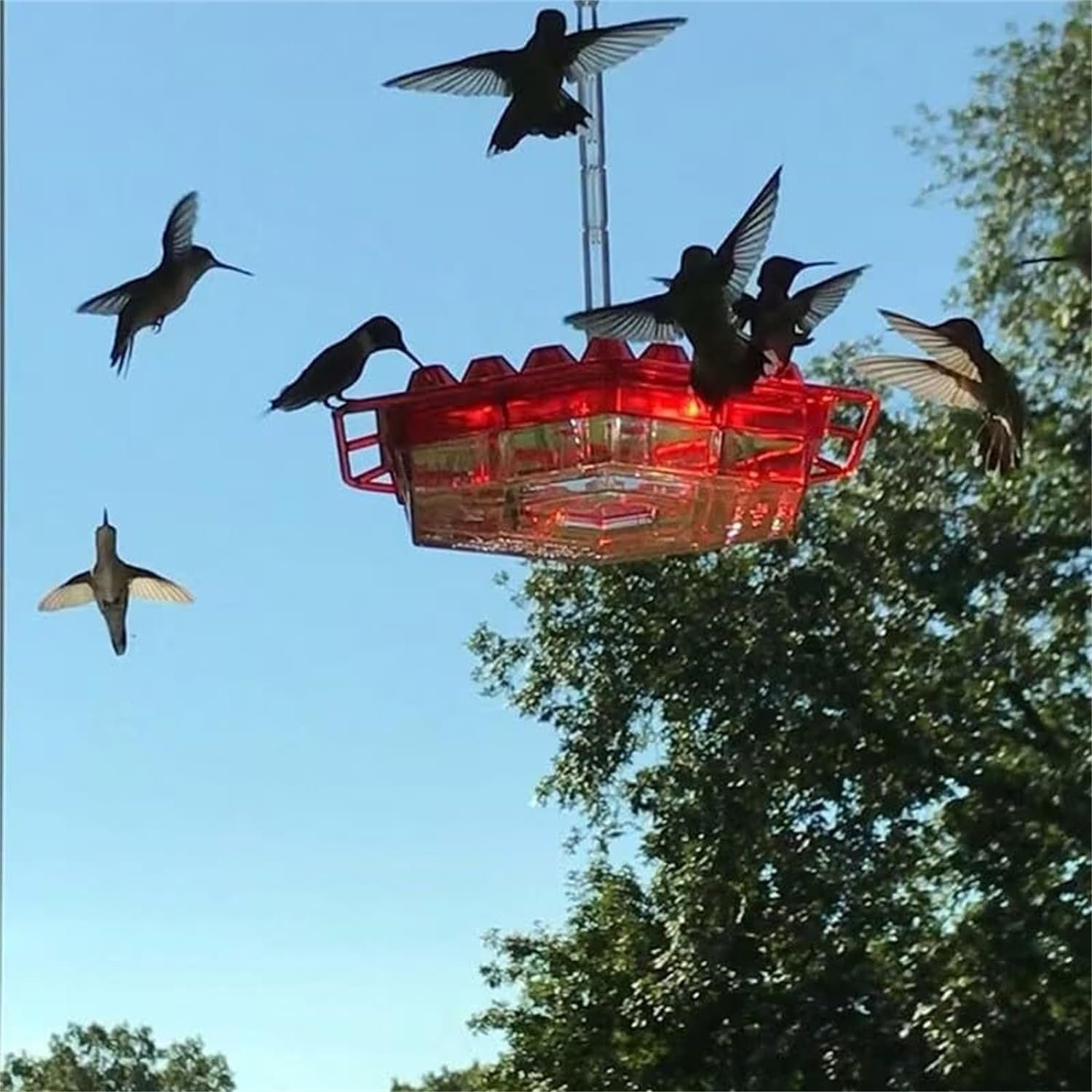 Annouvation✨LAST DAY SALE-60% OFF💥Hummingbird Feeders for Outdoors Hanging