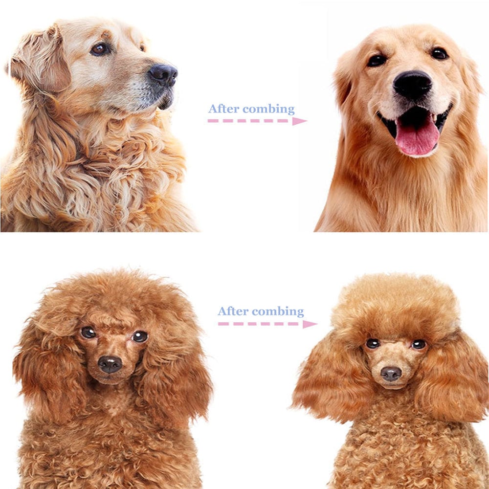 ⏳LAST DAY: Only 9.9￡！🎉 #1 in UK Pet Grooming 2026 🏆Professional Double-Sided Deshedding Brush for Dogs & Cats – Reduces Shedding by 90%💪