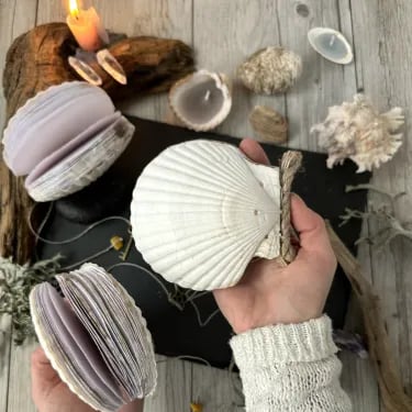 Abalone shell/Lion's Paw shell/Scallop Shell journal