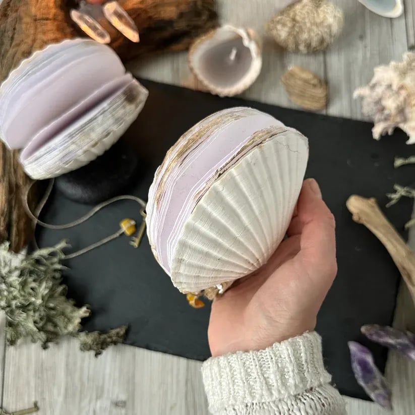 Abalone shell/Lion's Paw shell/Scallop Shell journal