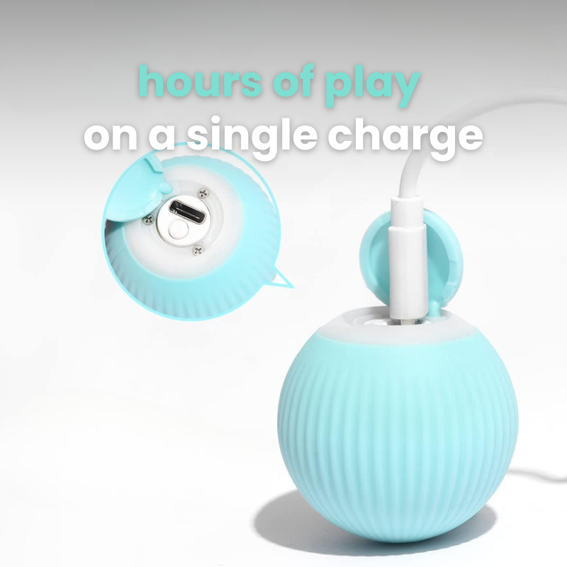 Smart Cat Ball Toy