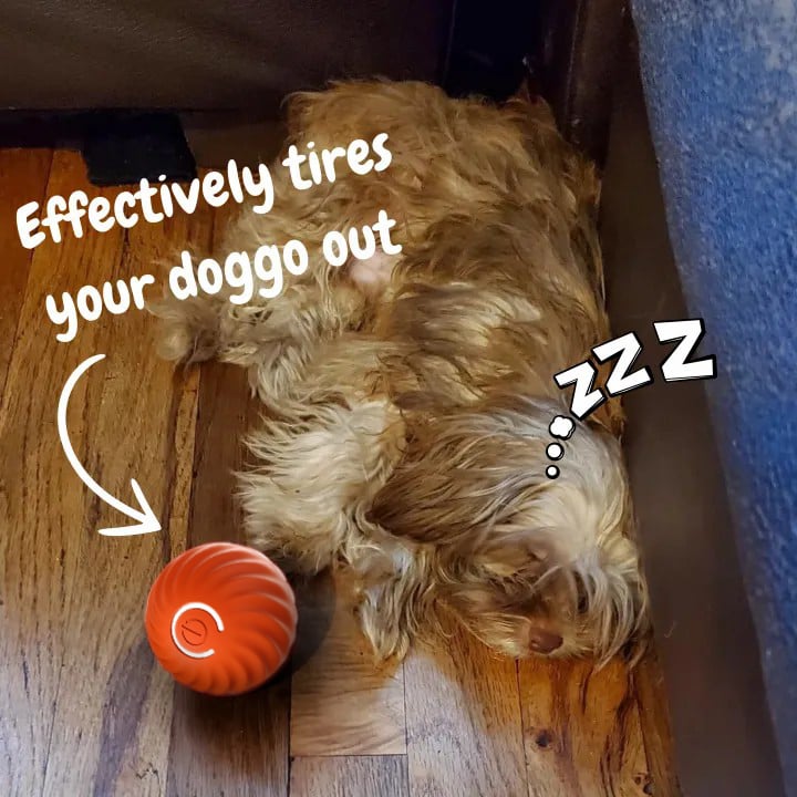 🎄Christmas Flash Sale 50% OFF - Chewie Viral Bouncing Ball