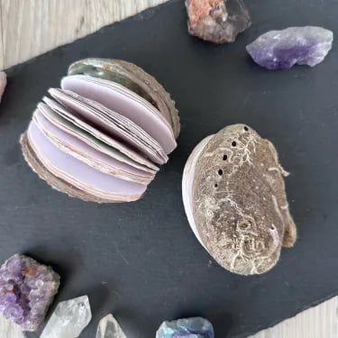 Abalone shell/Lion's Paw shell/Scallop Shell journal