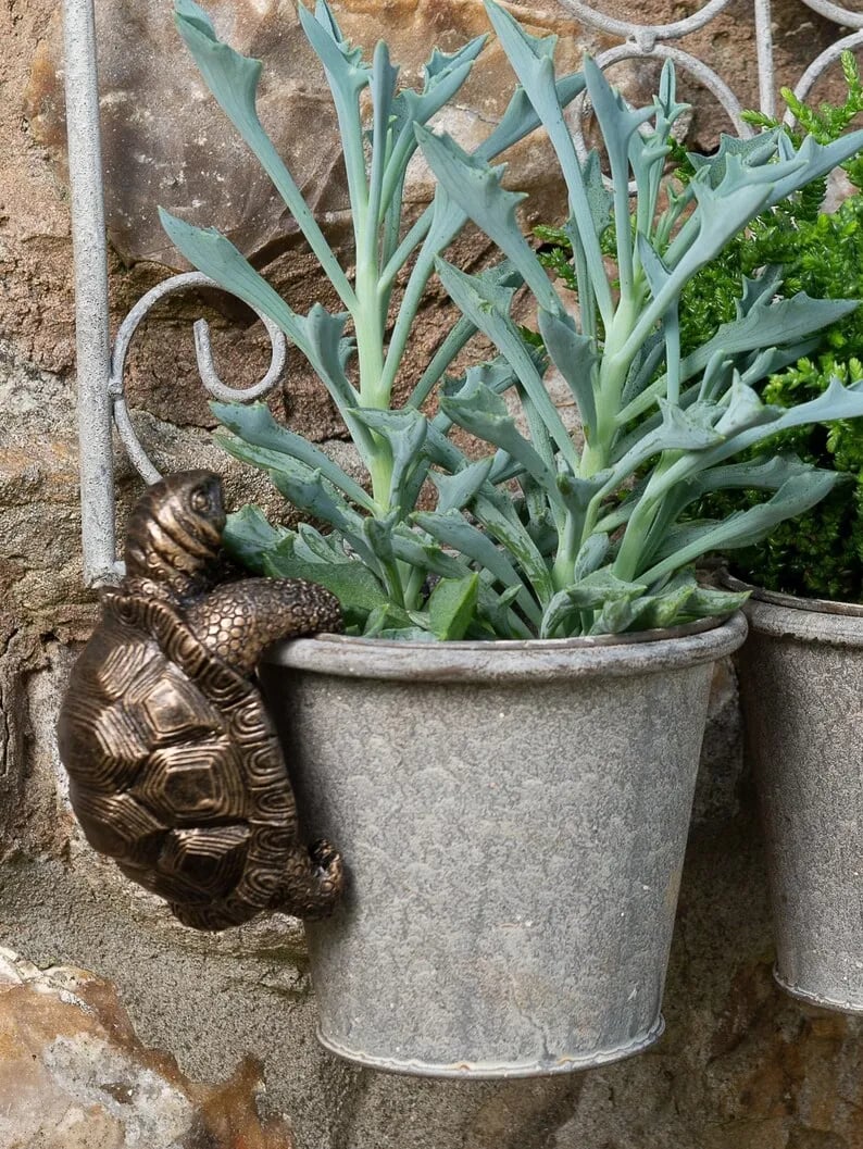 Cute potted plant decoration