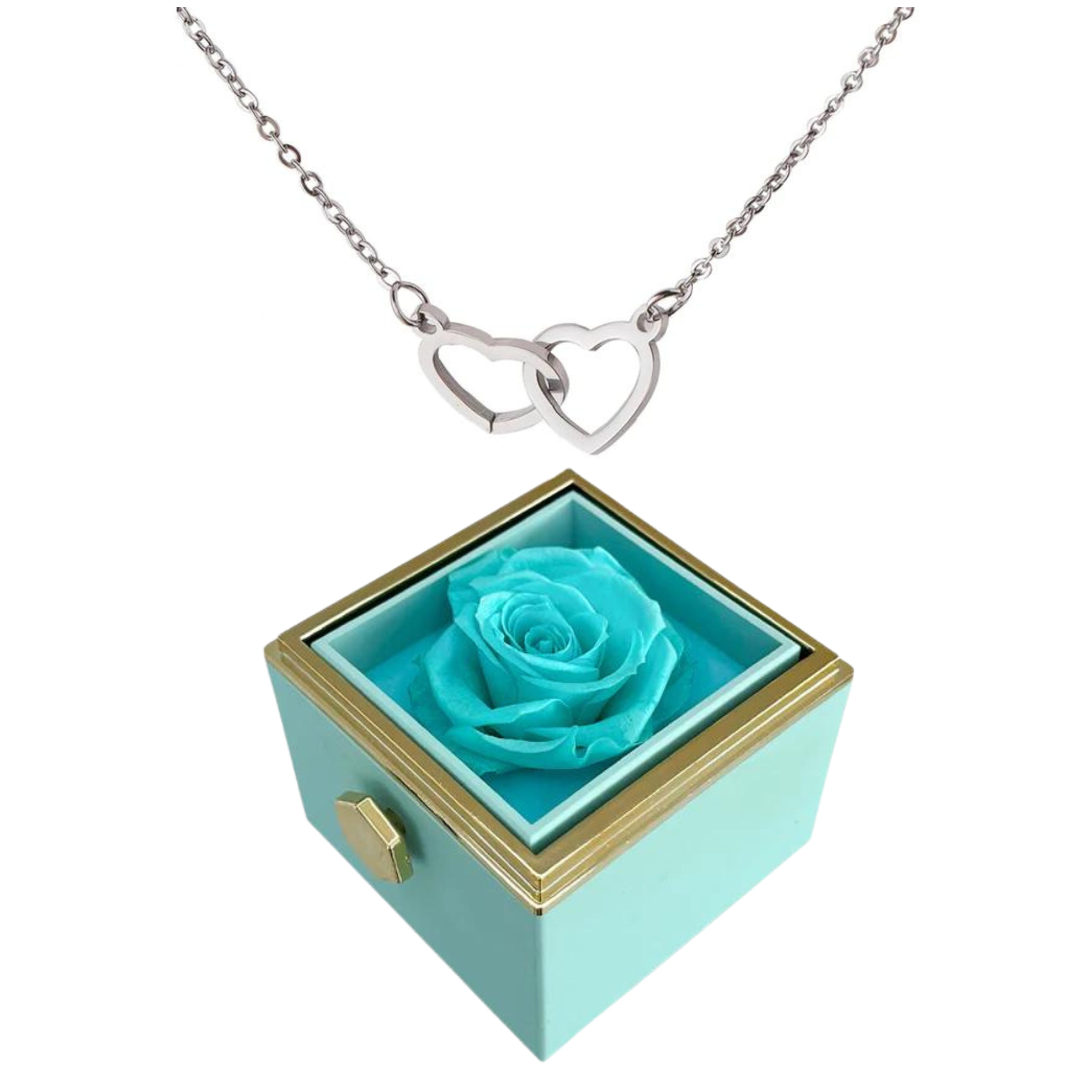 Pheromania ETERNALLY PRESERVED ROTATING ROSE BOX - W/ ENGRAVED HEART NECKLACE