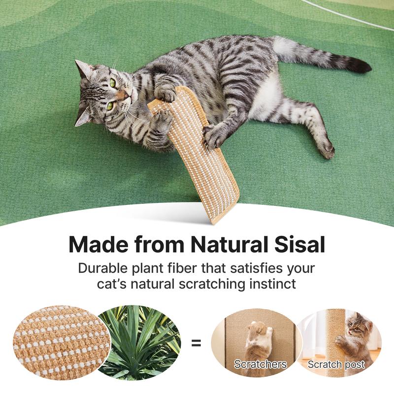 Cat playing with a sisal kicker toy