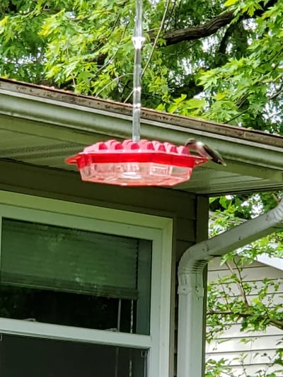 Reservationk✨LAST DAY SALE-70% OFF💥Hummingbird Feeders for Outdoors Hanging