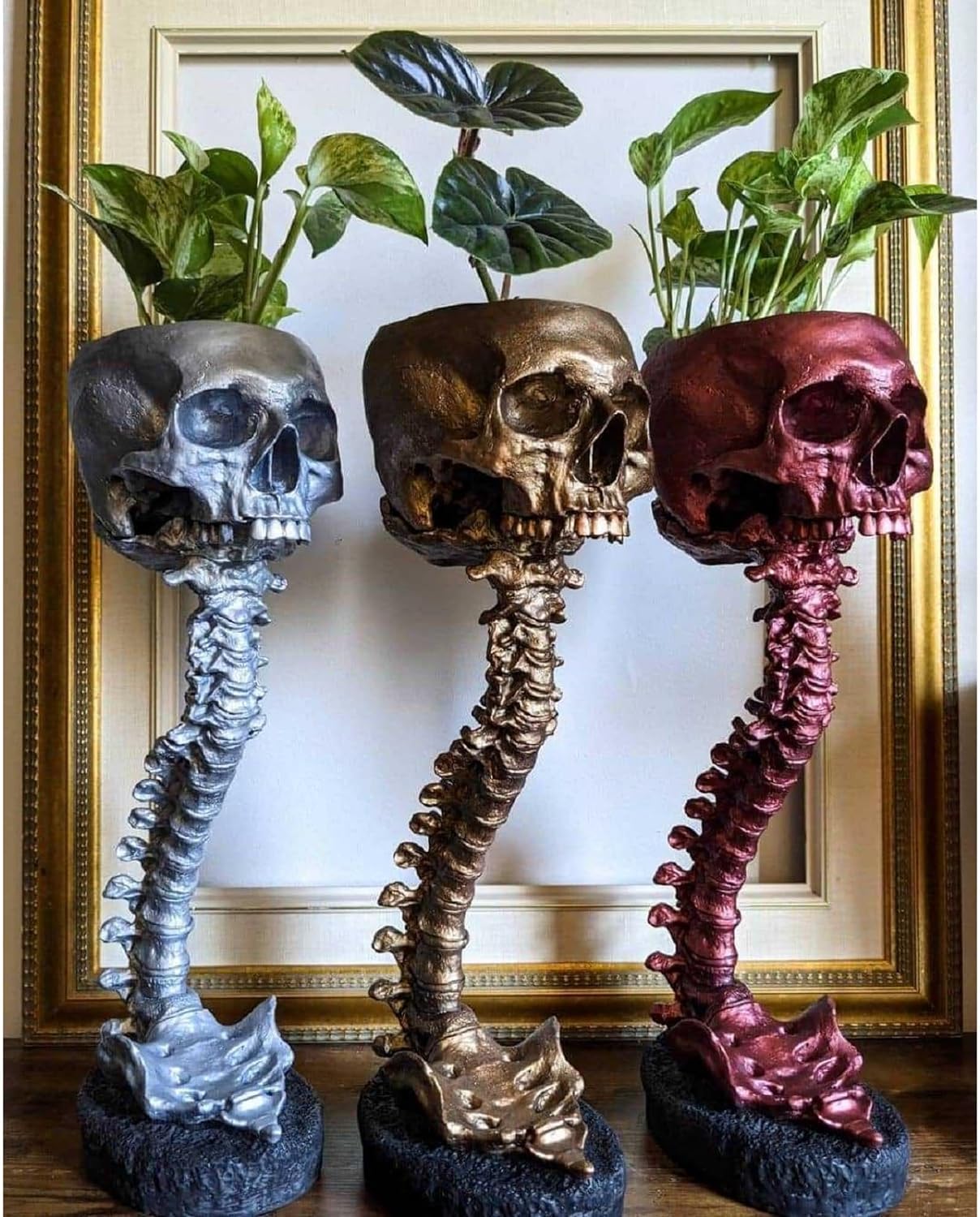 🔥BUY 2 FREE SHIPPING✨💀Skull Planter with Spine Stand