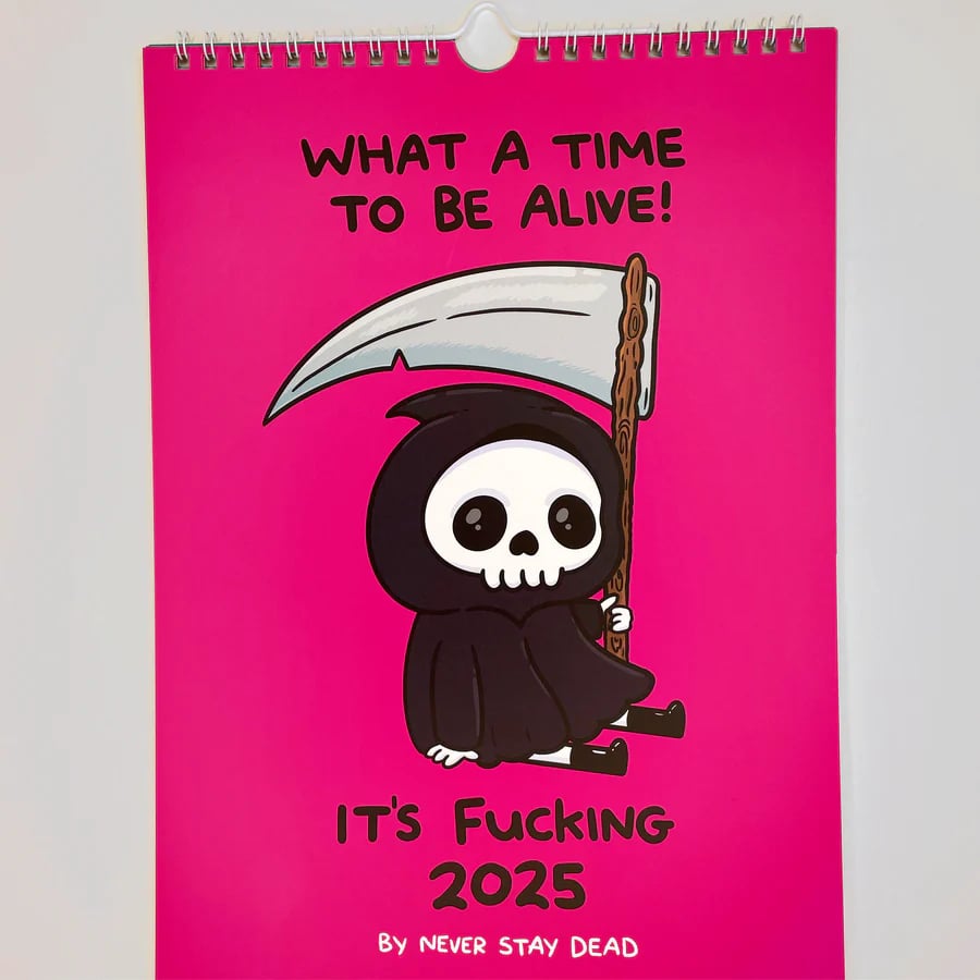 WHAT A TIME TO BE ALIVE! - 🤣It's Fucking 2025 Calendar🎁BUY MORE SAVE MORE