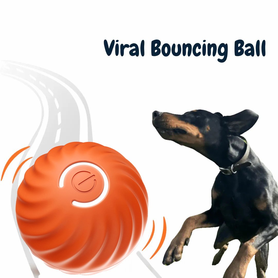 🎄Christmas Flash Sale 50% OFF - Chewie Viral Bouncing Ball