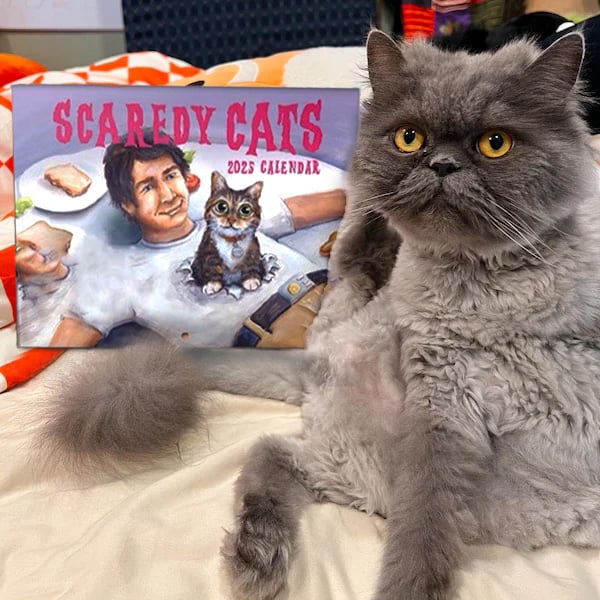 🔥LAST DAY SALE 50% OFF - 🐱Scaredy Cats 2025 Monthly Calendar