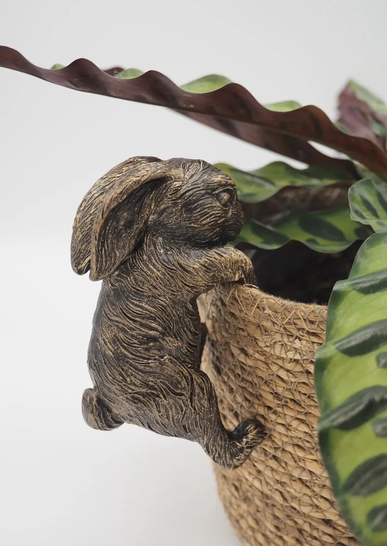 Cute potted plant decoration