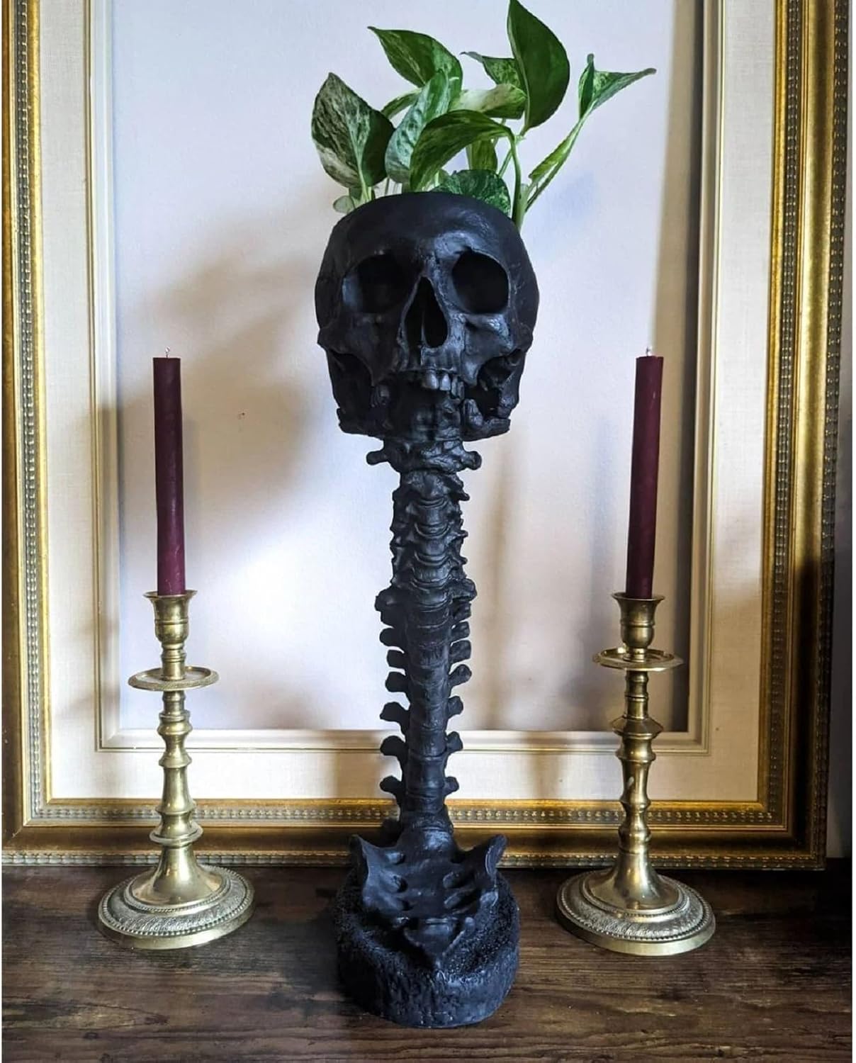 🔥BUY 2 FREE SHIPPING✨💀Skull Planter with Spine Stand