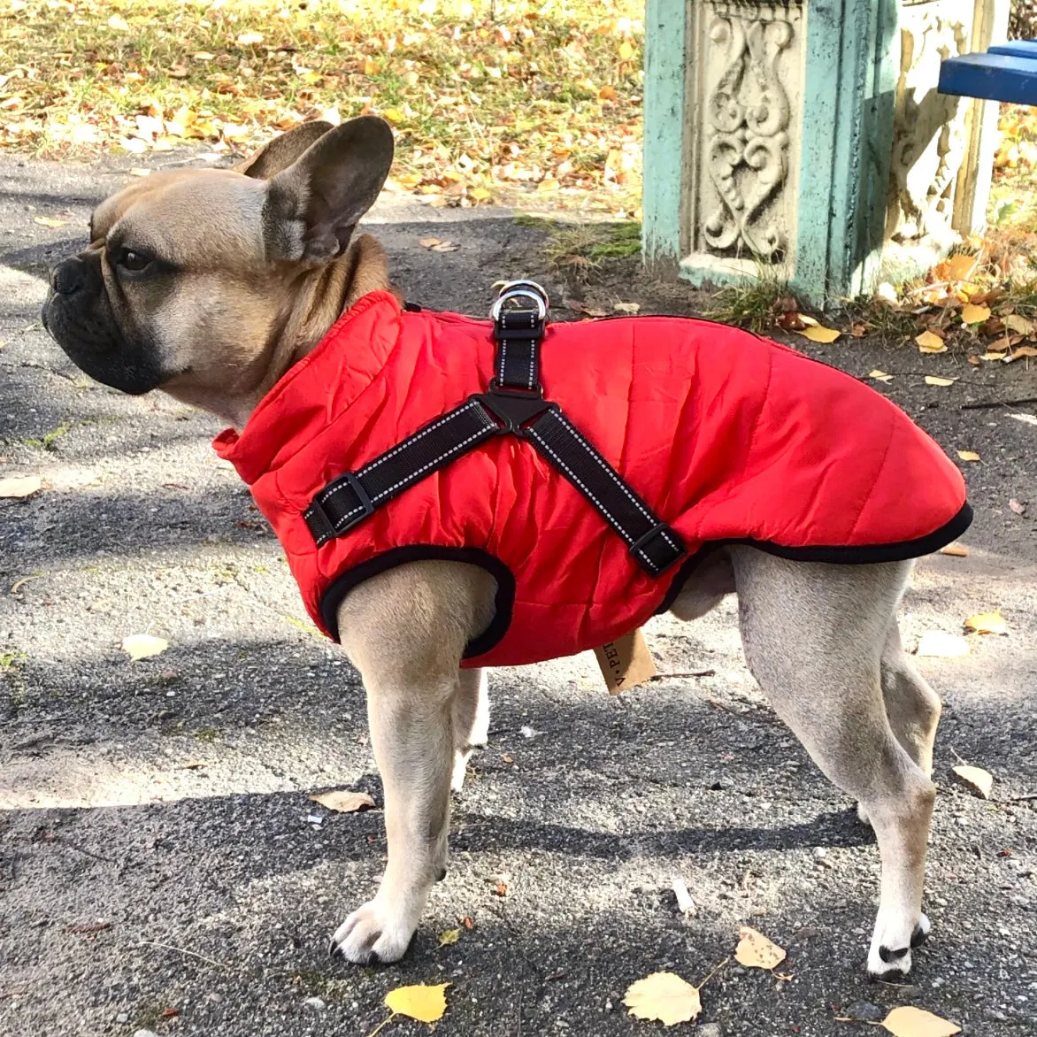 Pawbibi Dog Coats