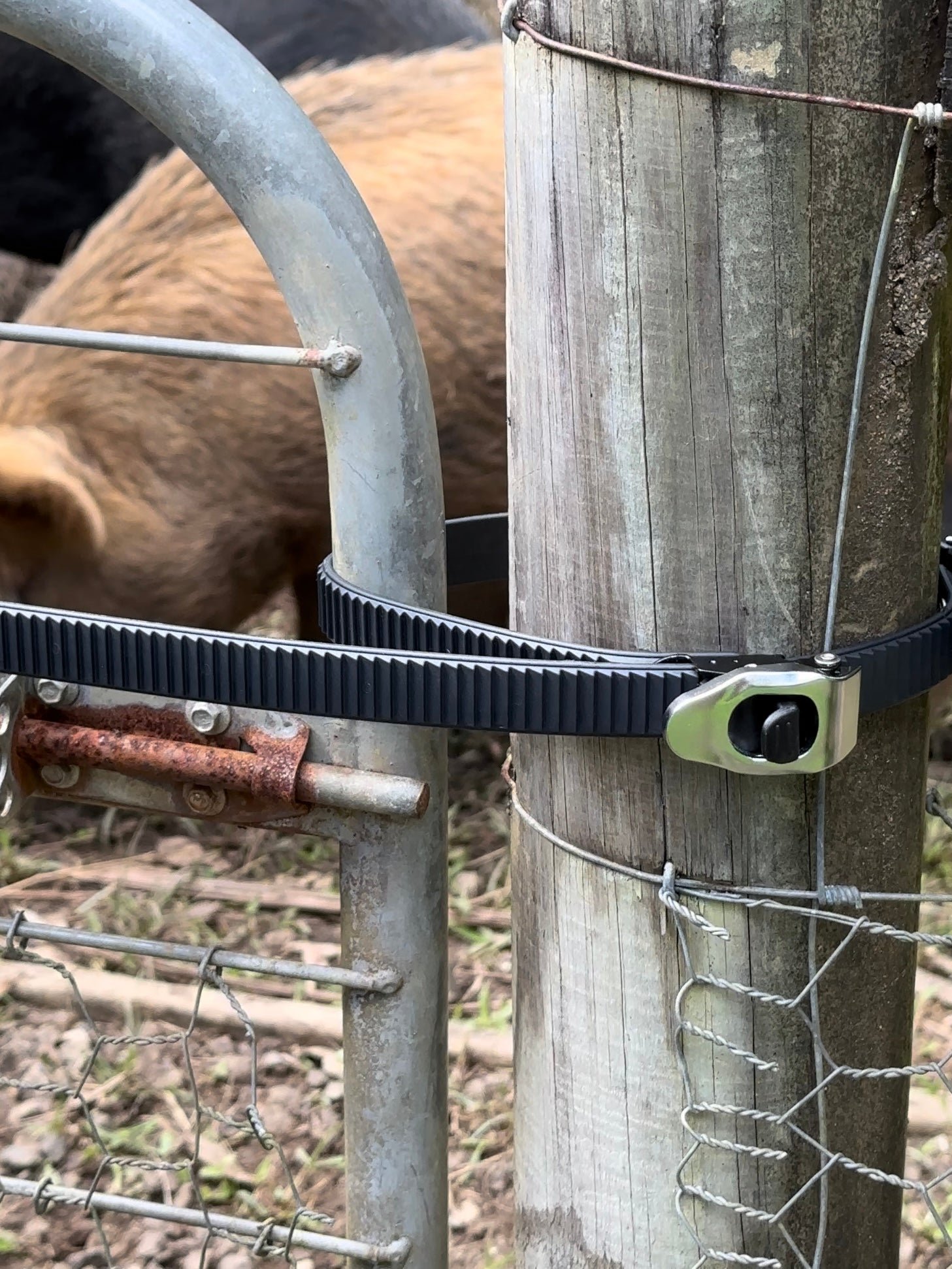 🔥Ultimate Heavy-Duty Grip Lock Strap – Secure Anything, Anywhere!