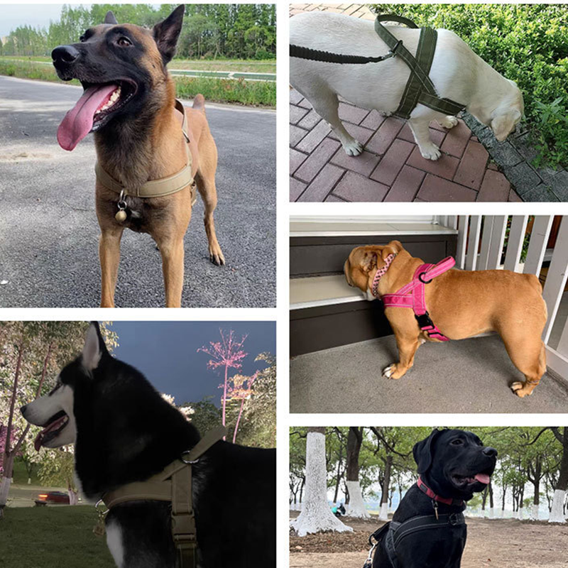 ✨Heavy-Duty Tactical Dog Harness with Handle🐕