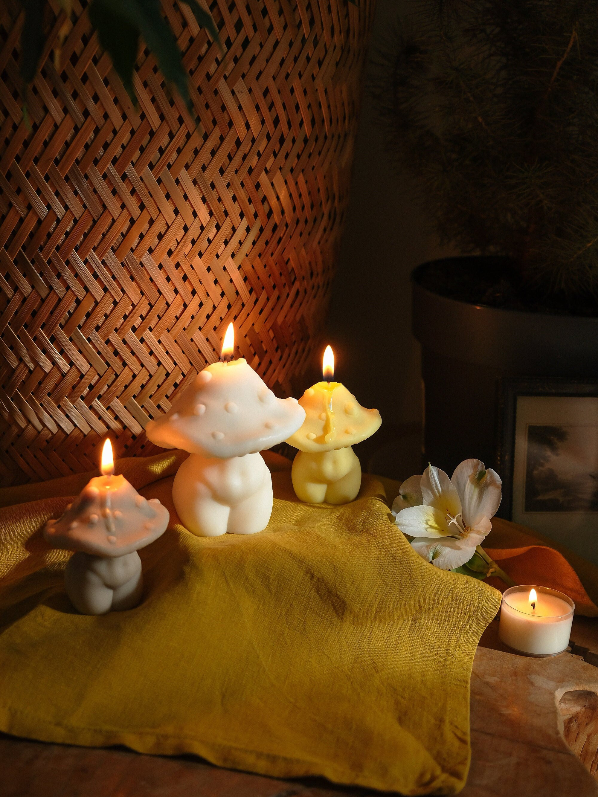 Mushroom Body Candle