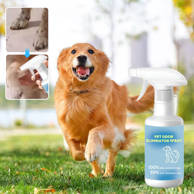 Pet Odor Eliminator Spray