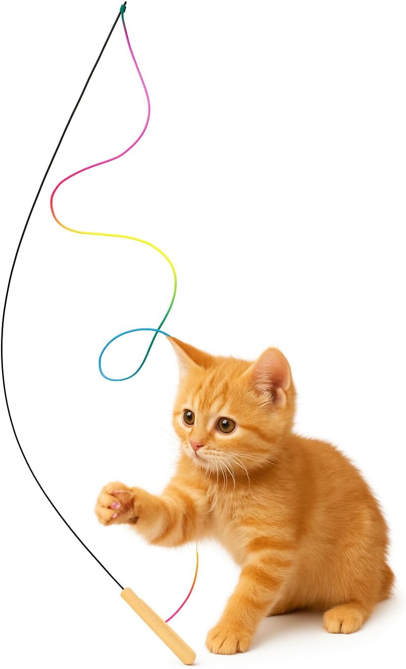 Cat Wand Toy