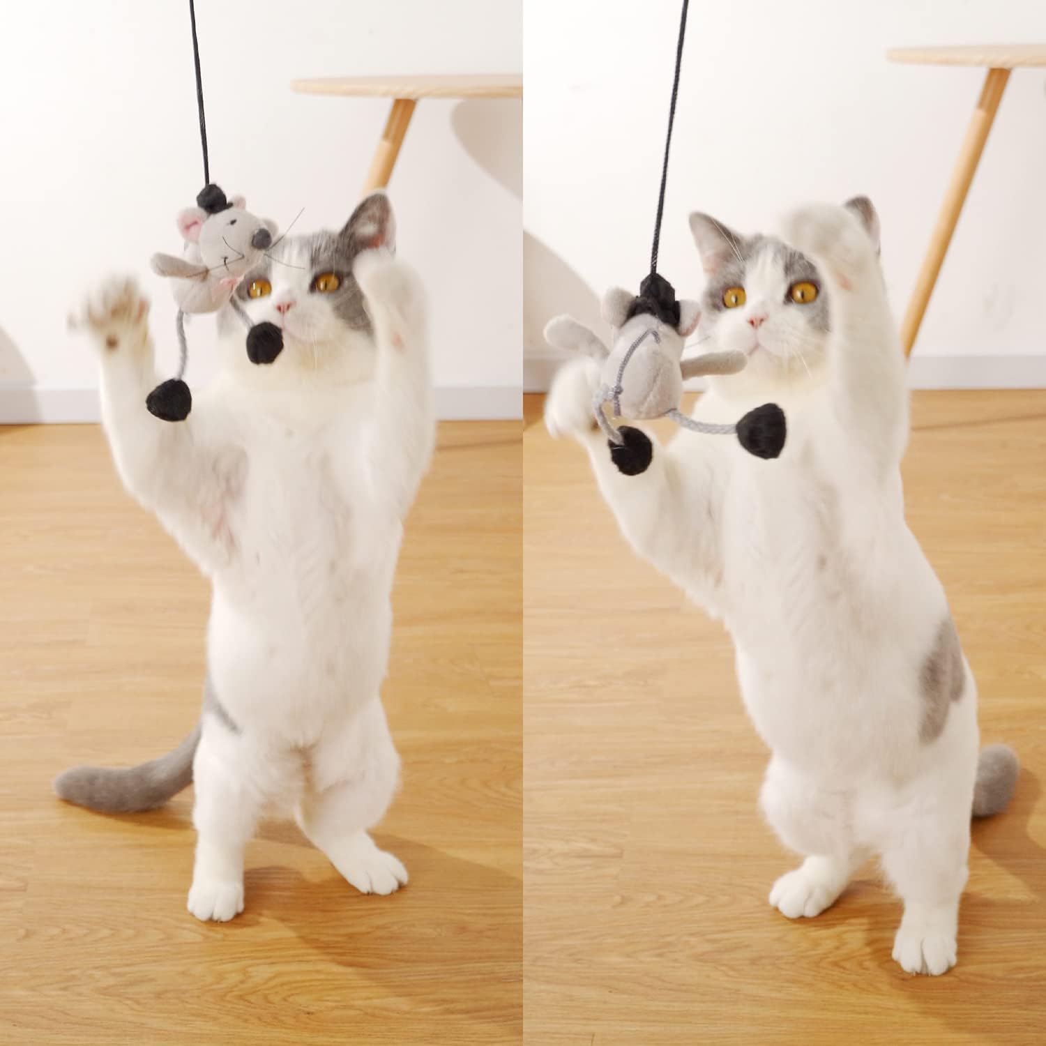 Cat Wand Toy