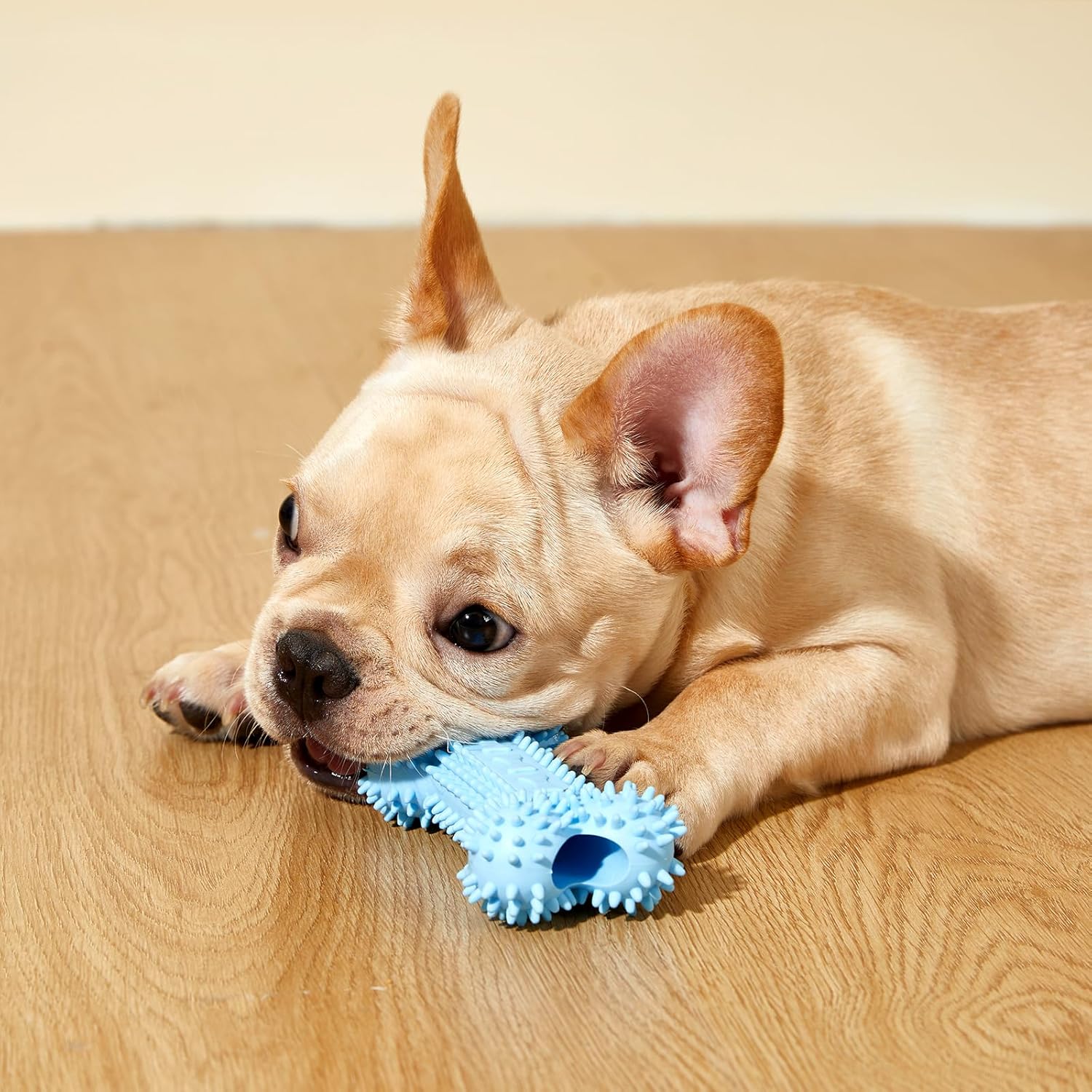 Dog Chew Toys