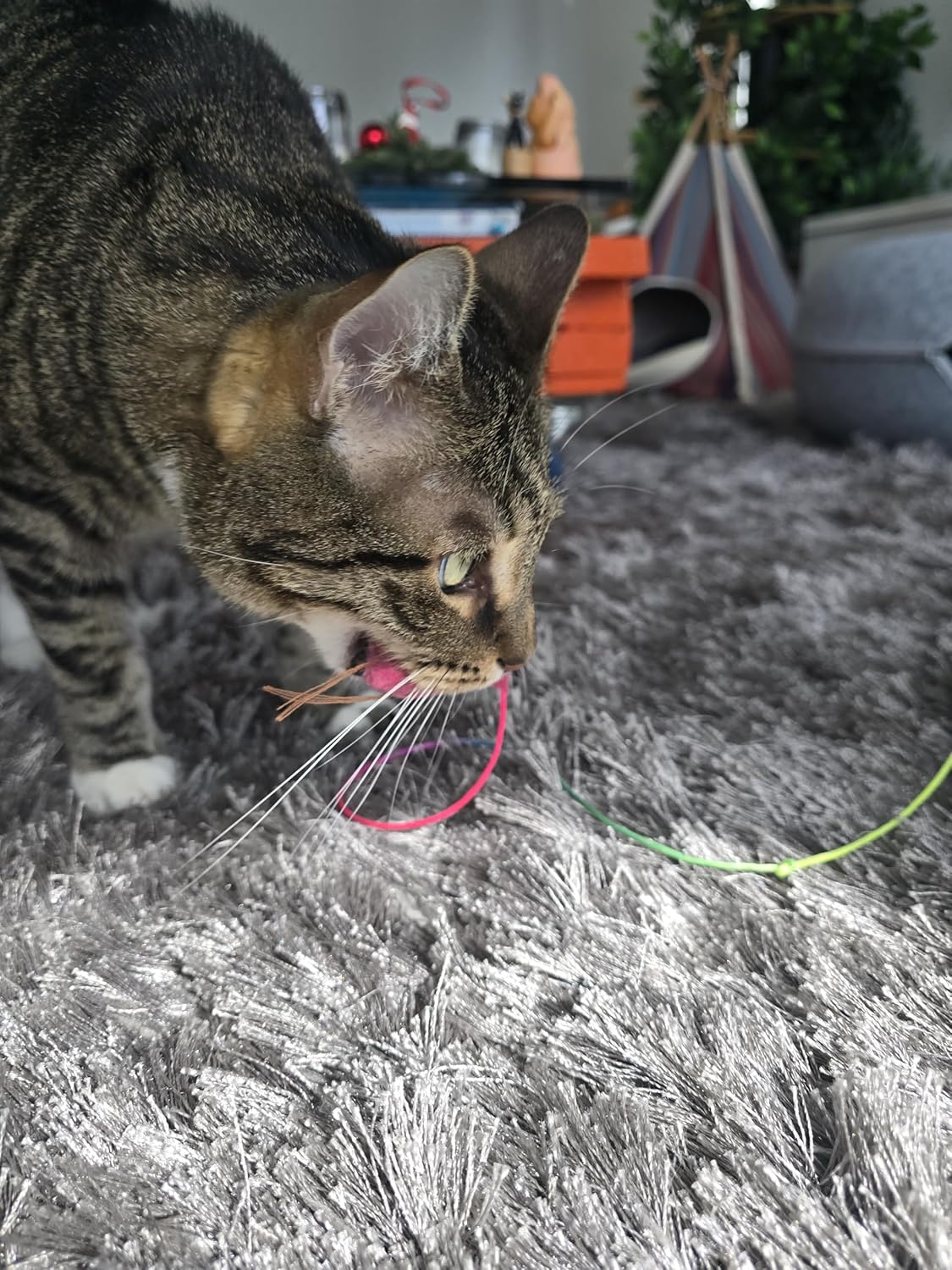 Cat Wand Toy