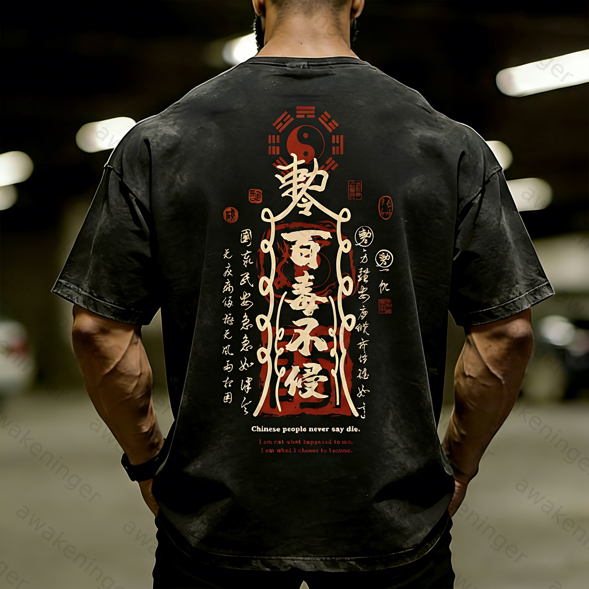 Premium Men's "Immune to All Poisons" Taoist-Washed T-Shirt