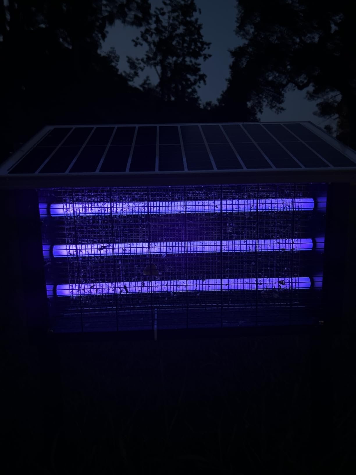 WORKS GREAT At Reducing Mosquitoes!