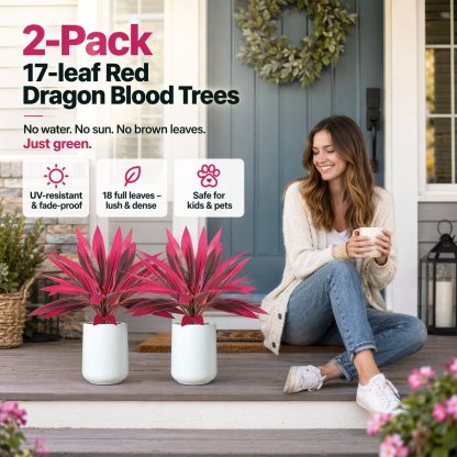 2‐Pack 21.6" Artificial Cordyline Plant