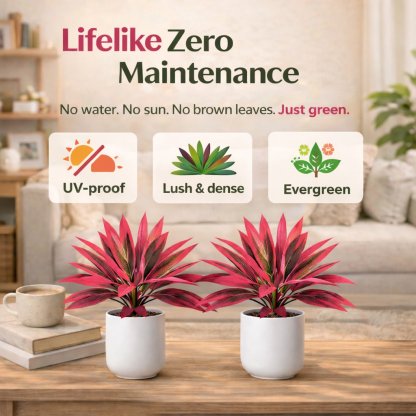 2‐Pack 21.6" Artificial Cordyline Plant