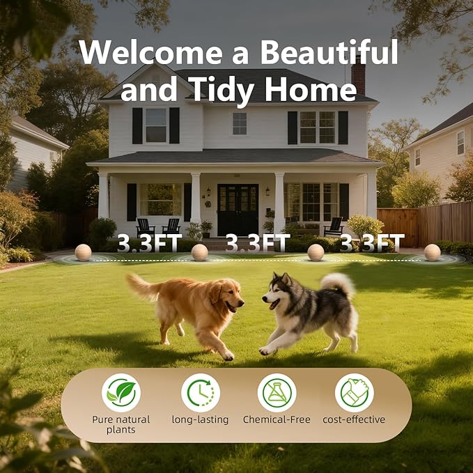 Natural Peppermint Rat Repellent Balls – Humane, Non-Toxic & Long-Lasting