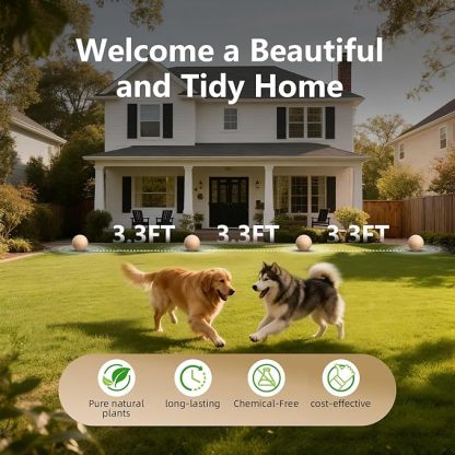 Natural Peppermint Rat Repellent Balls – Humane, Non-Toxic & Long-Lasting