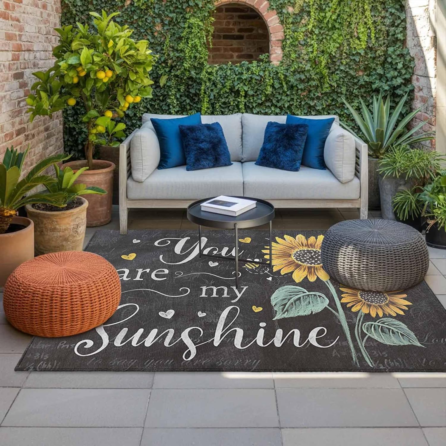Outdoor Rugs