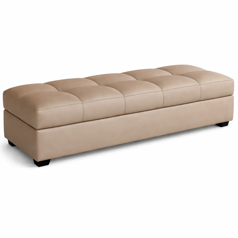 Panca Imbottita Multifunzionale per Ingresso e Soggiorno