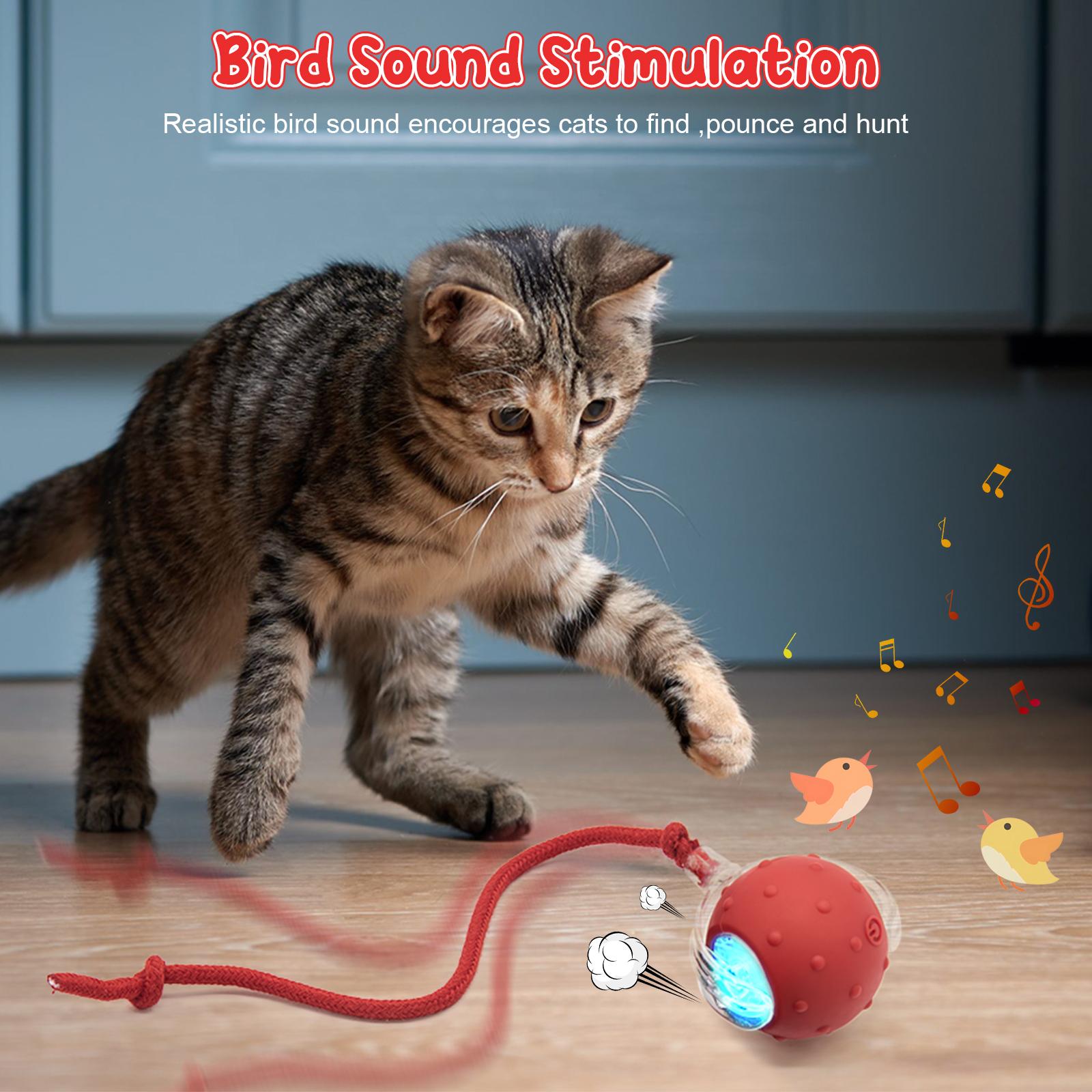 Interactive Cat Toys for Indoor Cats,USB Rechargeable, Fast Rolling cat Ball Toy On Rug, Bird Chirping & Motion Activated Cat Ball, Anti-Depression Pet Toy Fun Gift with Light,Playtime Exercise Entertainment Interactive Cat Toys for Indoor Cats,USB Rechargeable, Fast Rolling cat Ball Toy On Rug, Bird Chirping & Motion Activated Cat Ball, Anti-Depression Pet Toy Fun Gift with Light,Playtime Exercise Entertainment