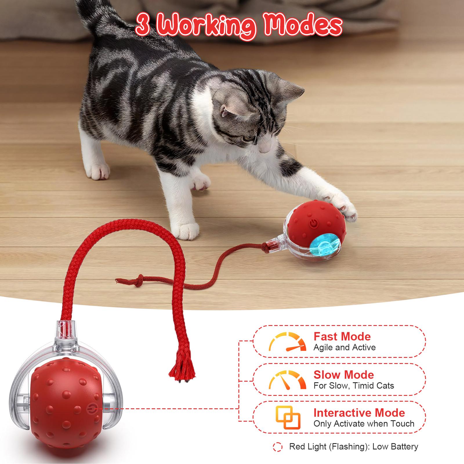 Interactive Cat Toys for Indoor Cats,USB Rechargeable, Fast Rolling cat Ball Toy On Rug, Bird Chirping & Motion Activated Cat Ball, Anti-Depression Pet Toy Fun Gift with Light,Playtime Exercise Entertainment Interactive Cat Toys for Indoor Cats,USB Rechargeable, Fast Rolling cat Ball Toy On Rug, Bird Chirping & Motion Activated Cat Ball, Anti-Depression Pet Toy Fun Gift with Light,Playtime Exercise Entertainment