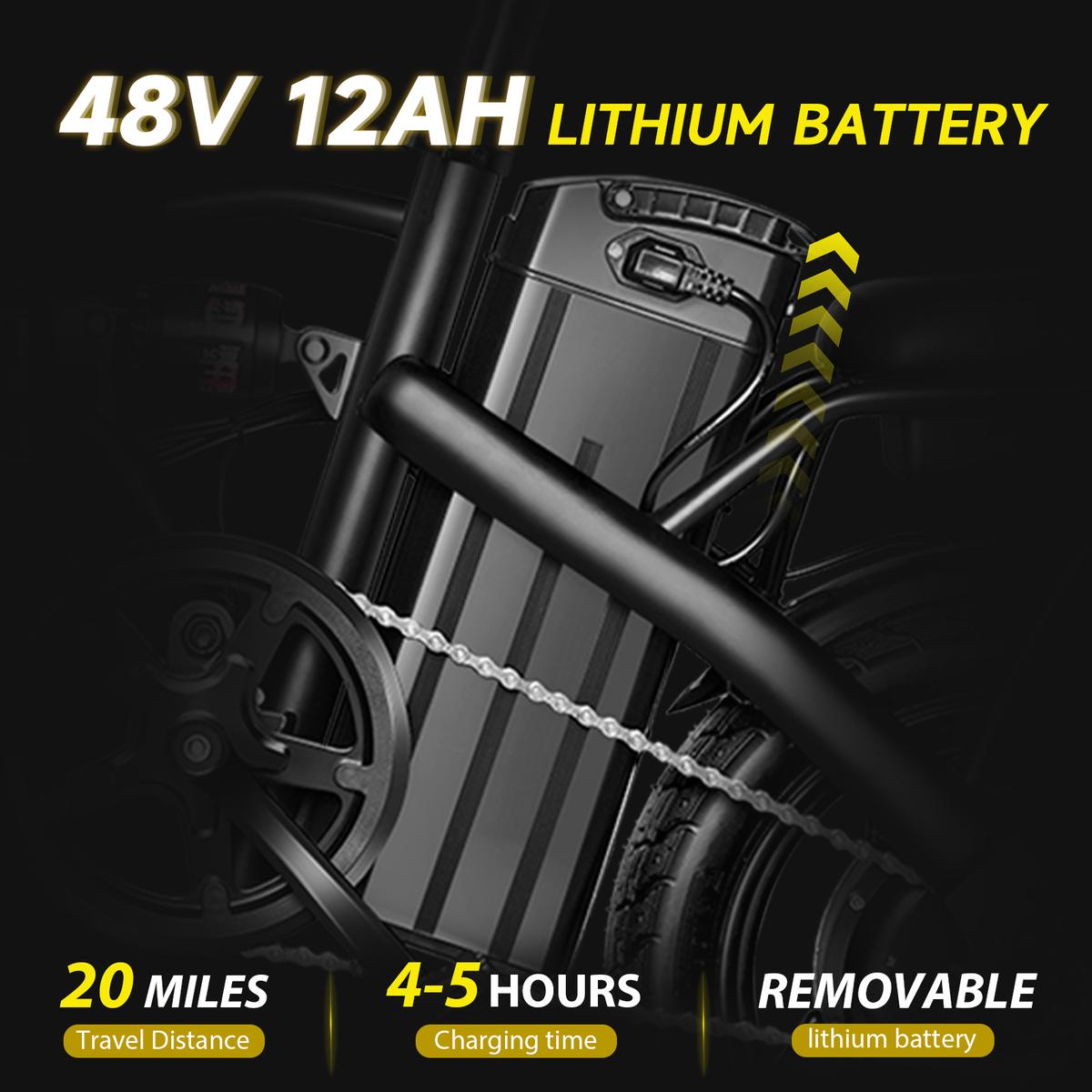  Folding Electric Bike for Adults