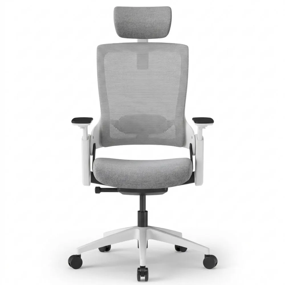 Silla ergonómica con soporte ajustable para oficina y hogar - Alivio del dolor de espalda