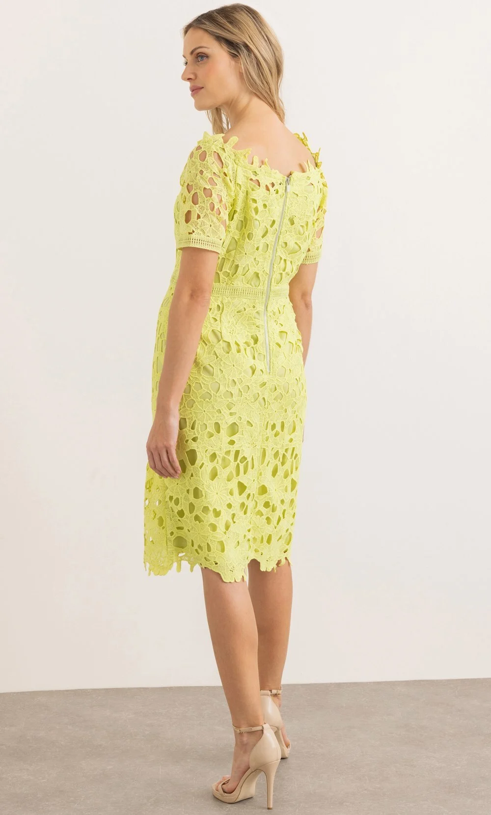 ‼️HIT CENA‼️