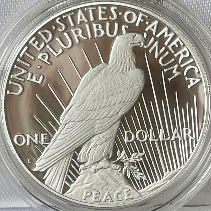 2025 Peace Silver Dollar Proof Coin - A Testament to Resilience and Hope