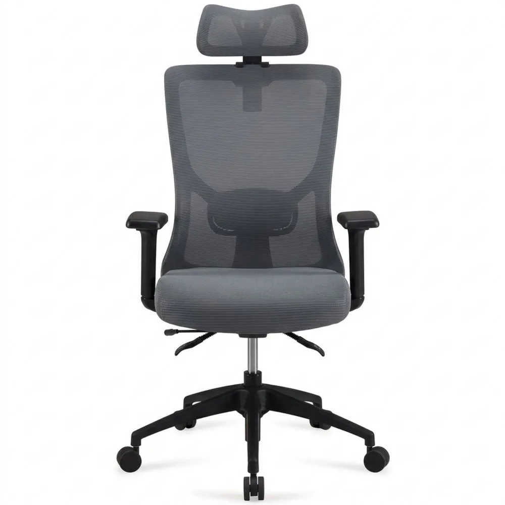 Silla Ejecutiva Ergonómica con Respaldo Alto y Soporte Lumbar, Gris