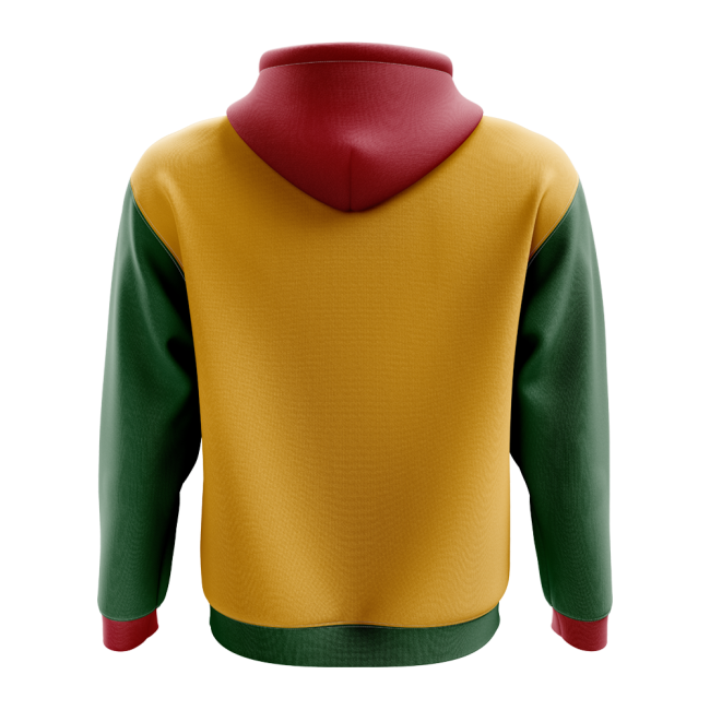 Lithuania Concept Country Football Hoody (Yellow)-Vantage Point Soccer