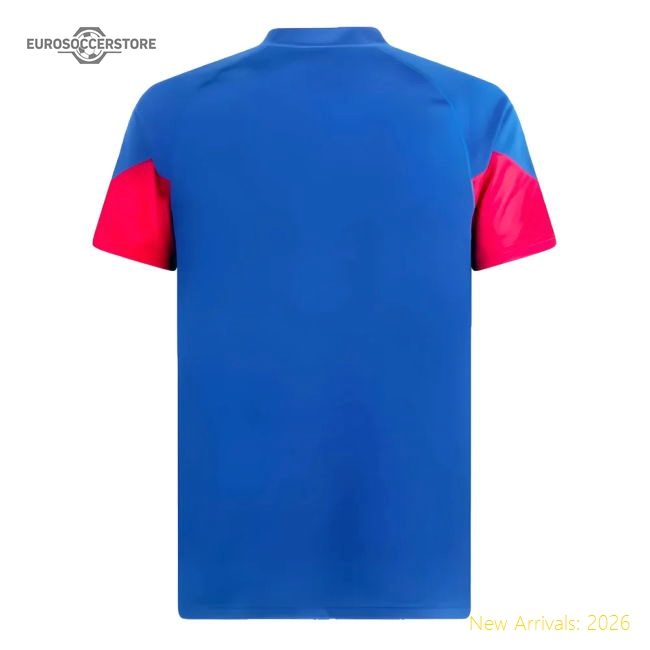 2023-2024 AC Milan Training Jersey (Royal Sapphire) (Pirlo 21)-Vantage Point Soccer