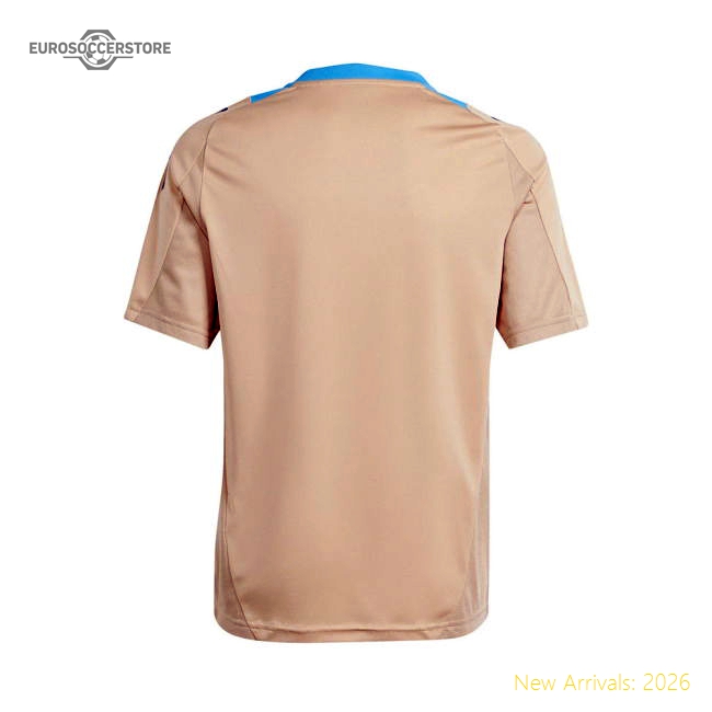 2024-2025 Argentina Training Jersey (Hazy Beige)-Vantage Point Soccer