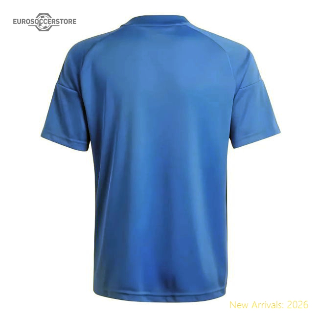 2024-2025 Italy Home Fan Jersey (Kids) (R.BAGGIO 10)-Vantage Point Soccer