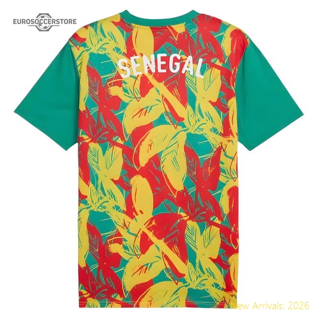 2024-2025 Senegal Prematch SS Jersey (Green)-Vantage Point Soccer