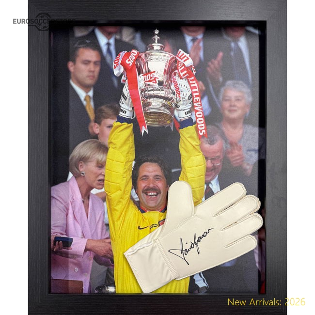 Arsenal FC Seaman Signed Glove (Framed)-Vantage Point Soccer