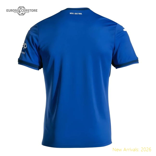 2024-2025 Hoffenheim Home Shirt-Vantage Point Soccer